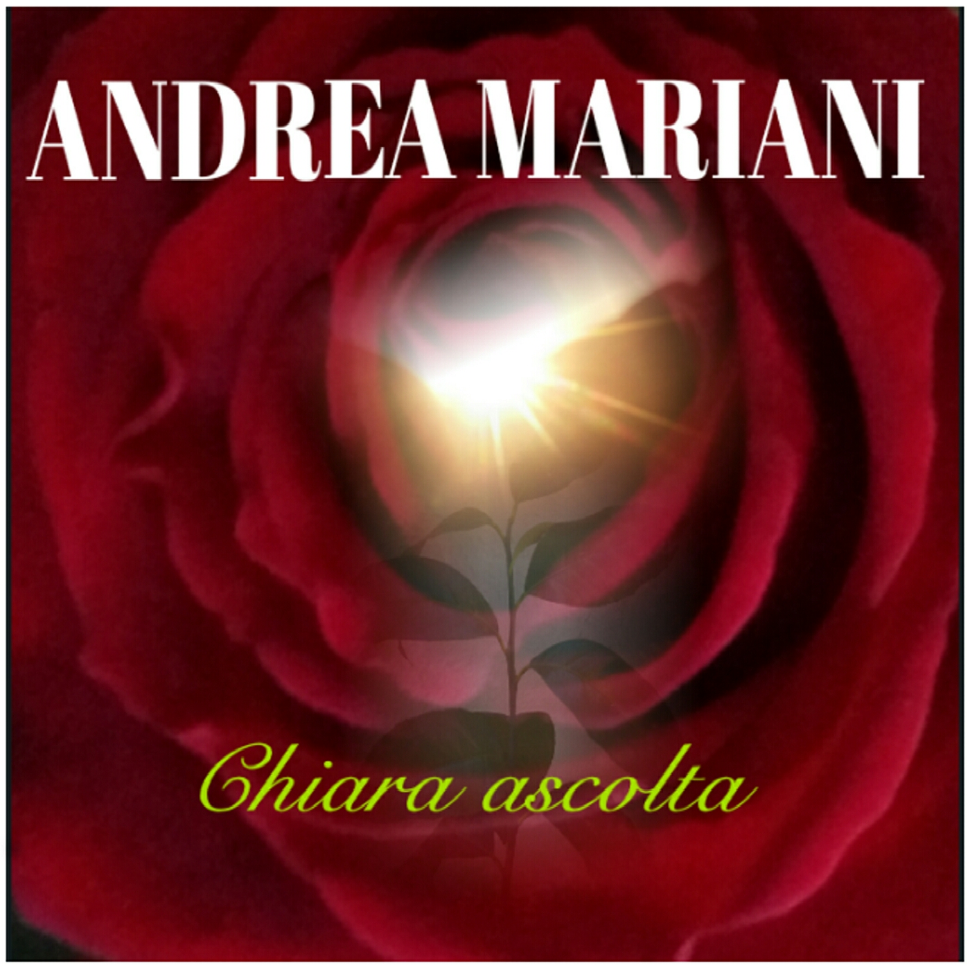 Foto profilo Andrea Mariani