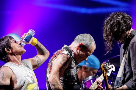 Firenze rocks 2021, conferme da Vasco e Red Hot Chili Peppers